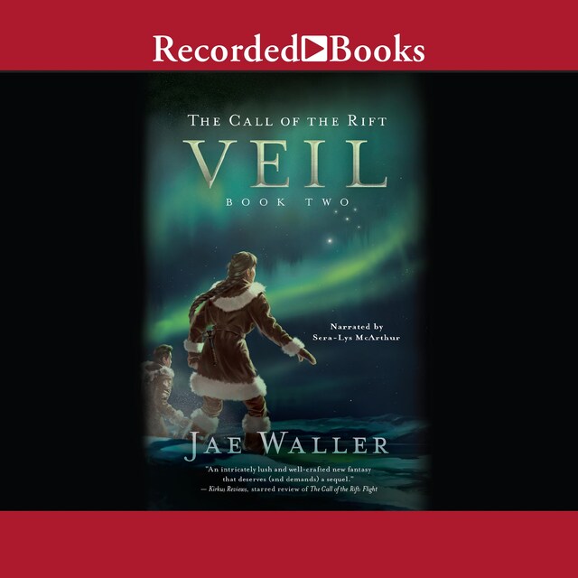 Book cover for Veil