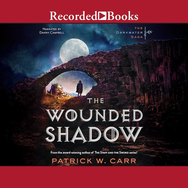 Book cover for The Wounded Shadow