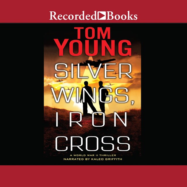 Book cover for Silver Wings, Iron Cross