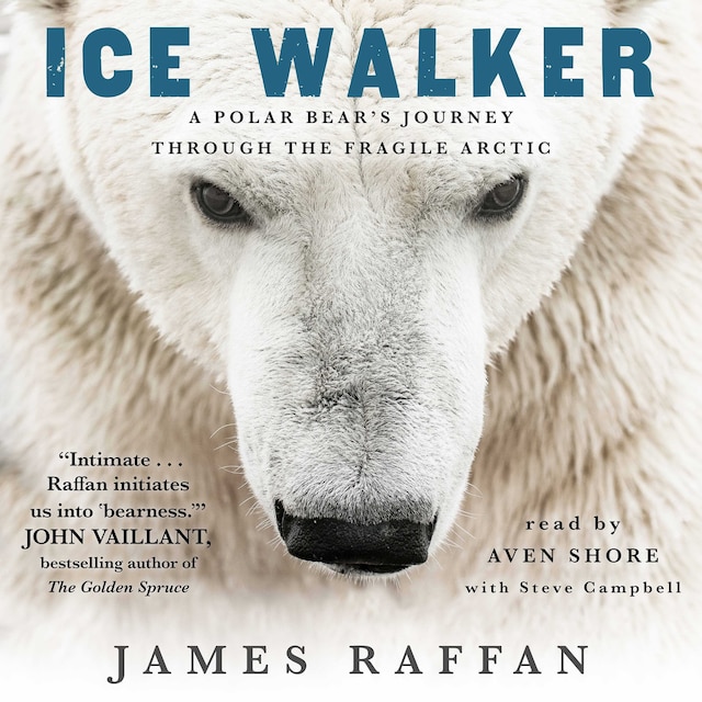 Book cover for Ice Walker