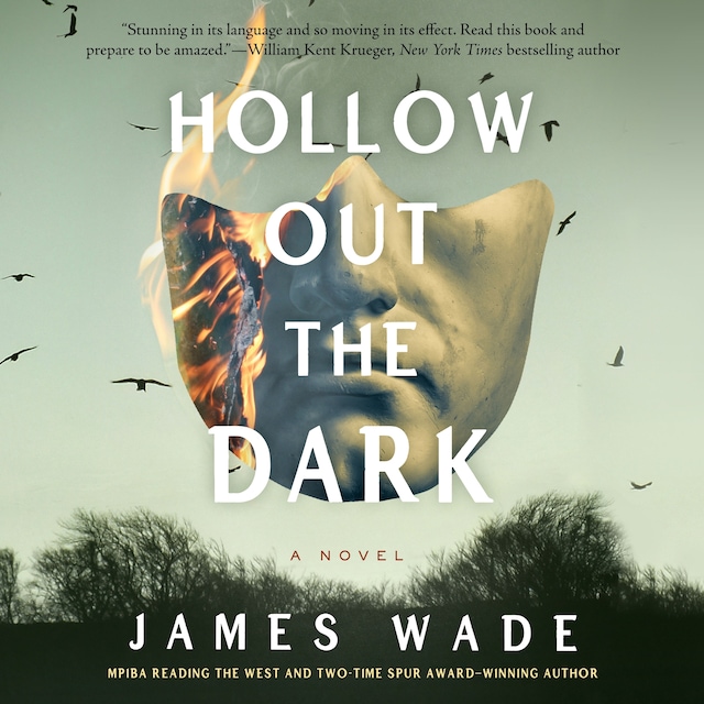 Copertina del libro per Hollow Out the Dark