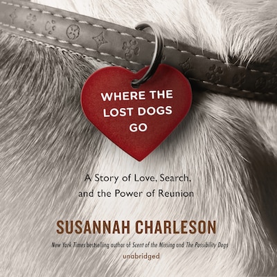 Where the Lost Dogs Go