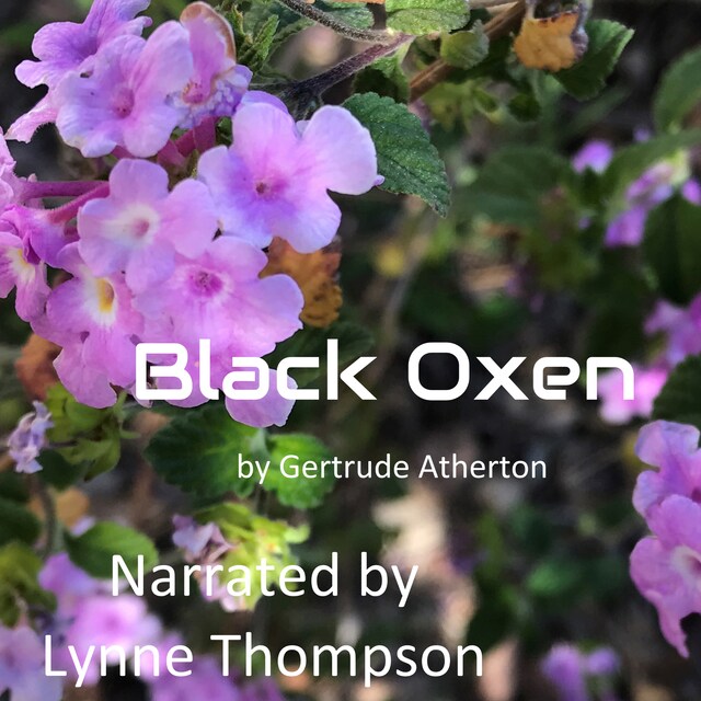 Boekomslag van Black Oxen