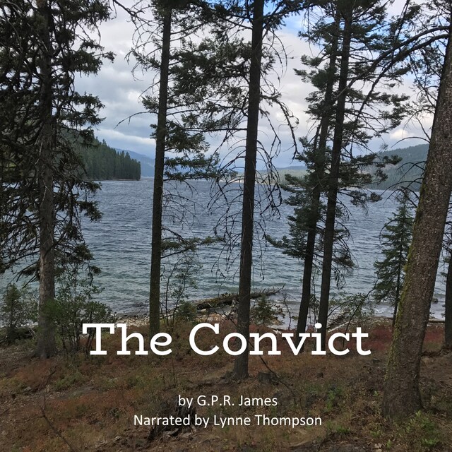 Book cover for The Convict