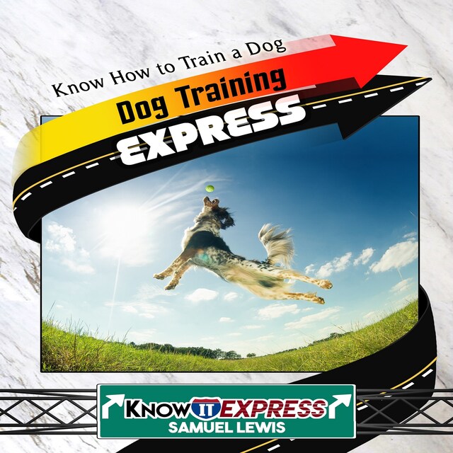 Book cover for Dog Training Express