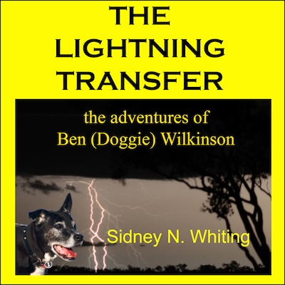 The Lightning Transfer