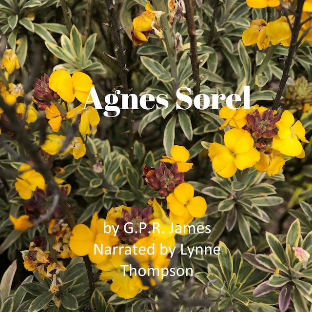 Book cover for Agnes Sorel