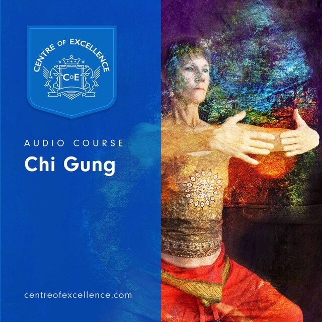 Book cover for Chi Gung