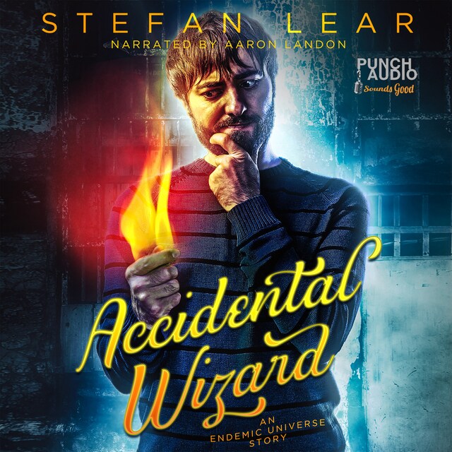 Bogomslag for Accidental Wizard (The Accidental Wizard Book 0)
