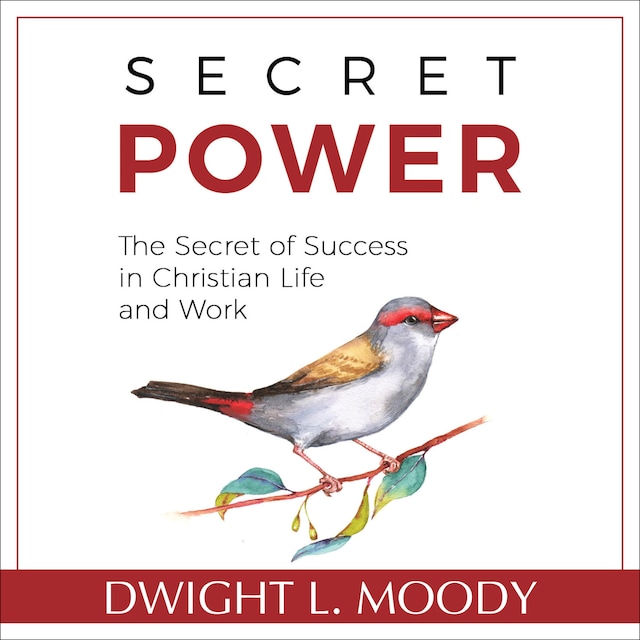 Buchcover für Secret Power - The Secret of Success in Christian Life and Work