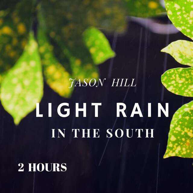 Book cover for Light Rain in the South