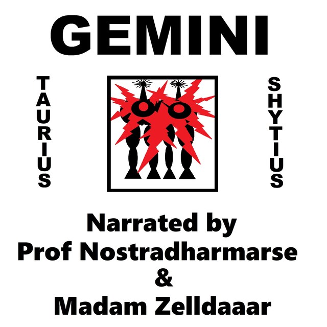 Boekomslag van Gemini