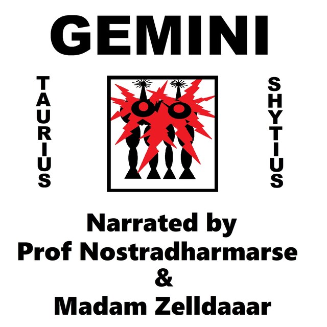 Kirjankansi teokselle Gemini