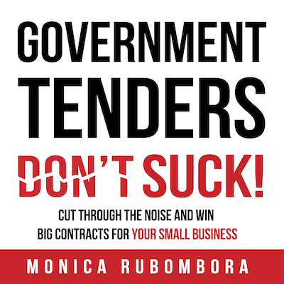GOVERNMENT TENDERS (DON'T) SUCK!