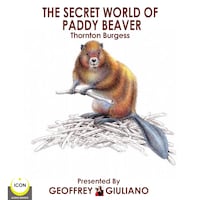 The Secret World Of Paddy Beaver