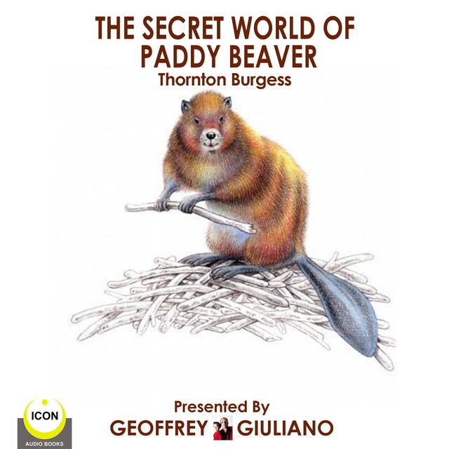 Book cover for The Secret World Of Paddy Beaver