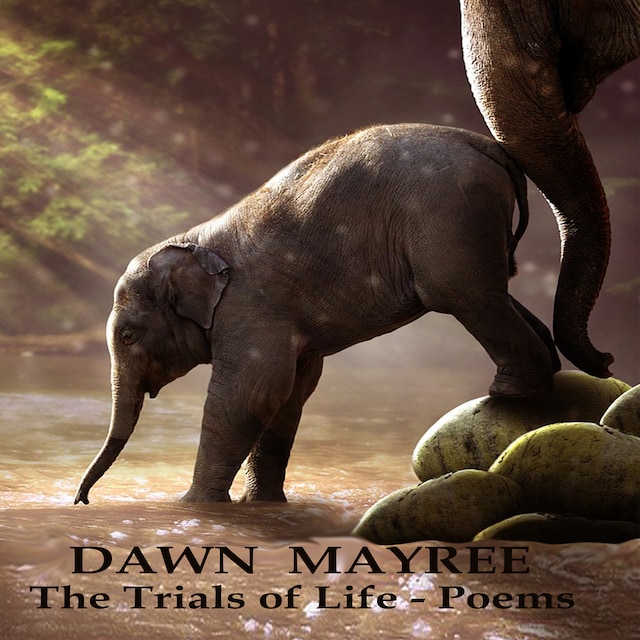 Boekomslag van The Trials of Life - Poems