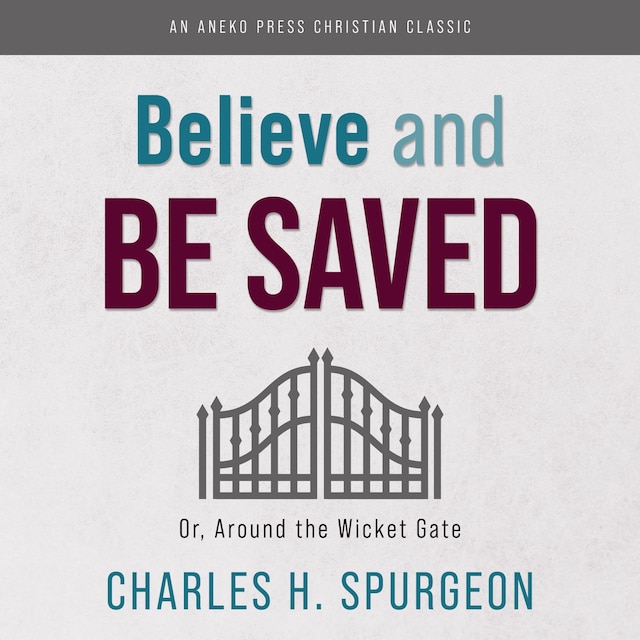 Copertina del libro per Believe and Be Saved