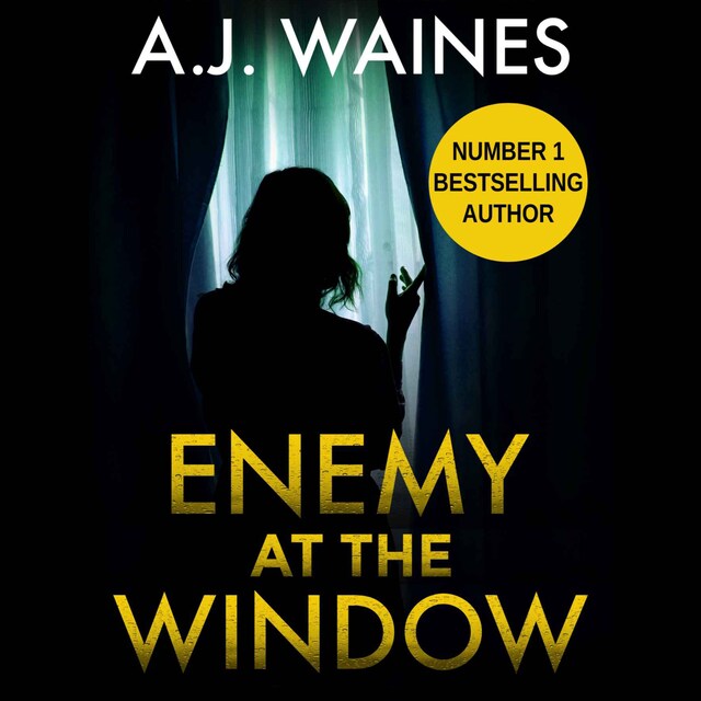 Buchcover für Enemy At The Window