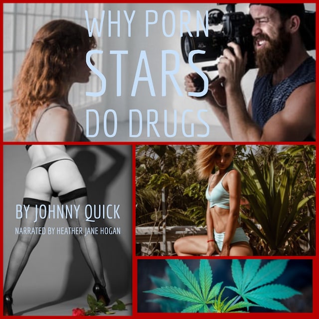 Couverture de livre pour Why Porn Stars Do Drugs