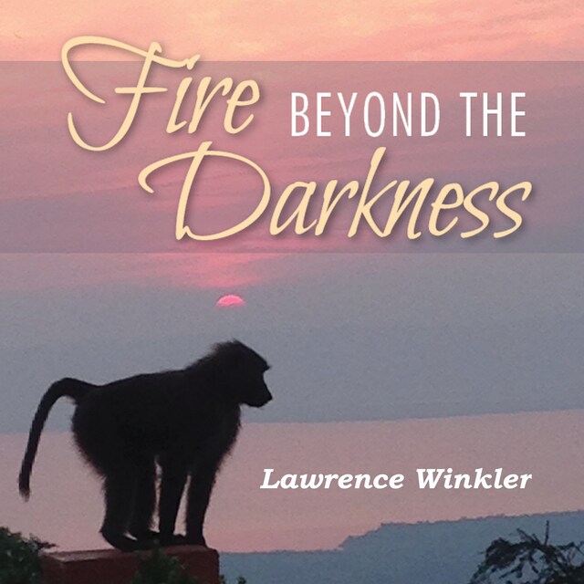 Buchcover für Fire Beyond the Darkness