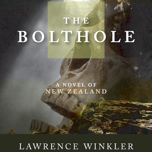 Book cover for The Bolthole