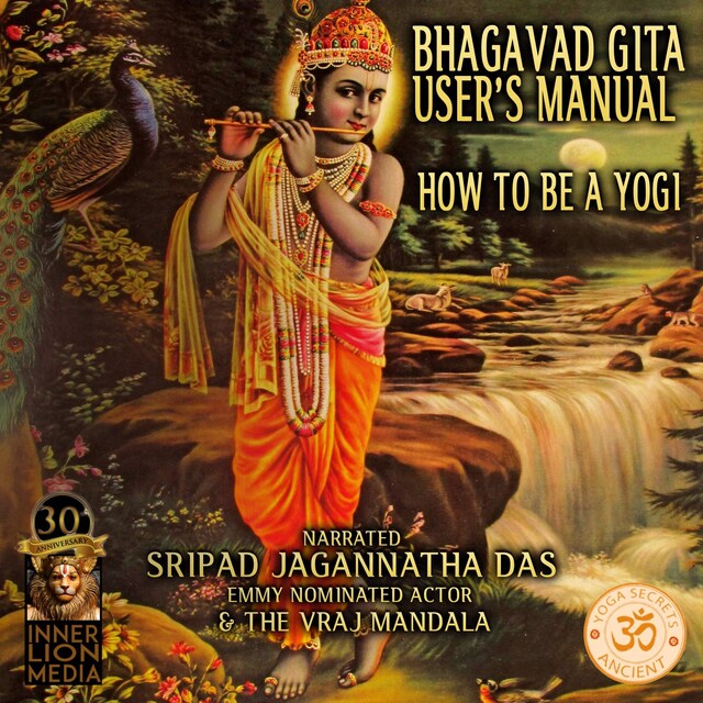 Book cover for Bhagavad Gita User's Manual