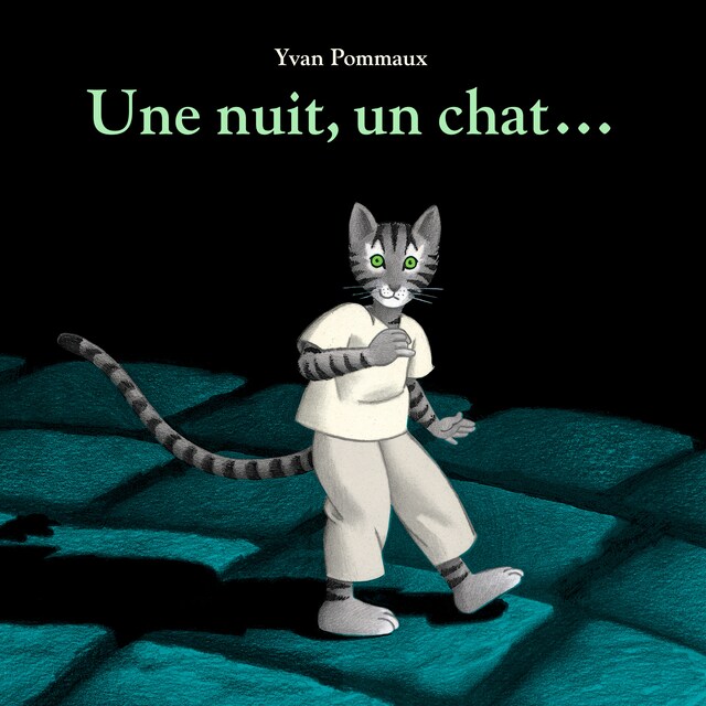 Copertina del libro per Une nuit, un chat…