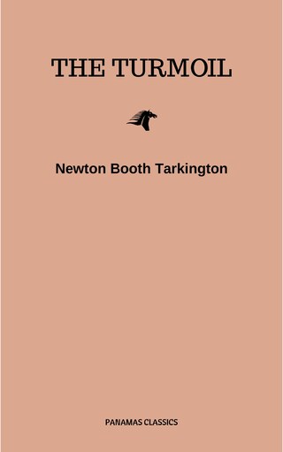 The Turmoil bookCoverFor