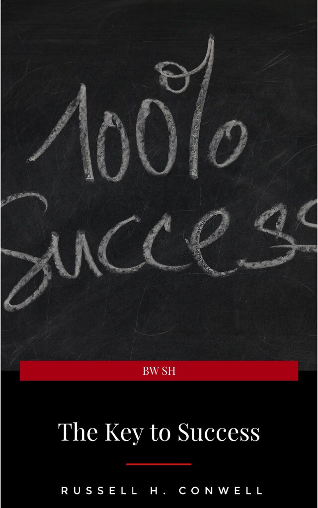 Book cover for The Key to Success