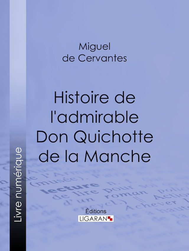 Book cover for Histoire de l'admirable Don Quichotte de la Manche