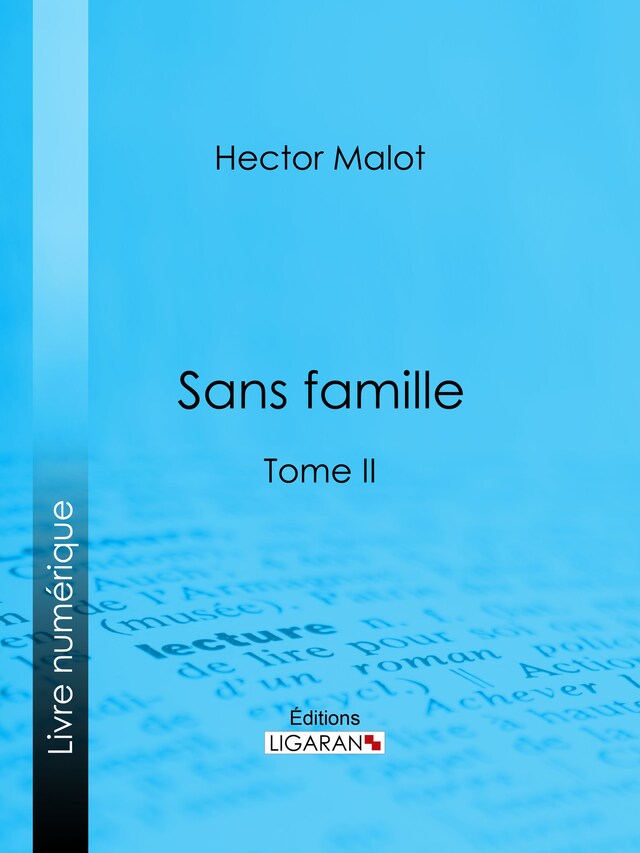 Buchcover für Sans famille