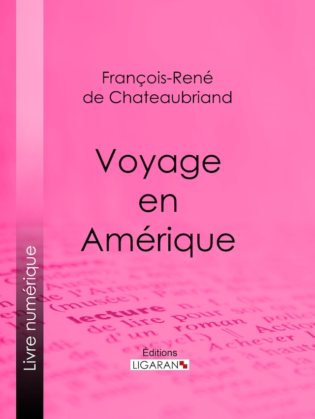 Okładka książki dla Voyage en Amérique