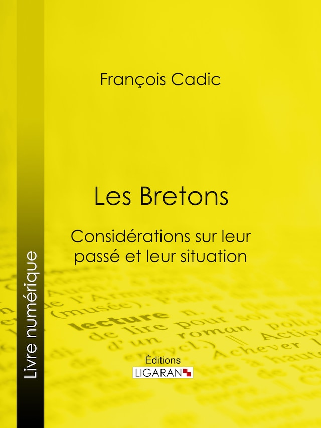 Book cover for Les Bretons