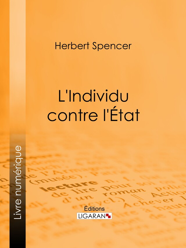 Book cover for L'Individu contre l'État