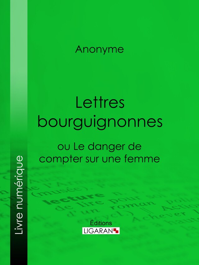 Kirjankansi teokselle Lettres bourguignonnes ou Le danger de compter sur une femme