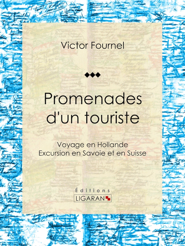 Book cover for Promenades d'un touriste