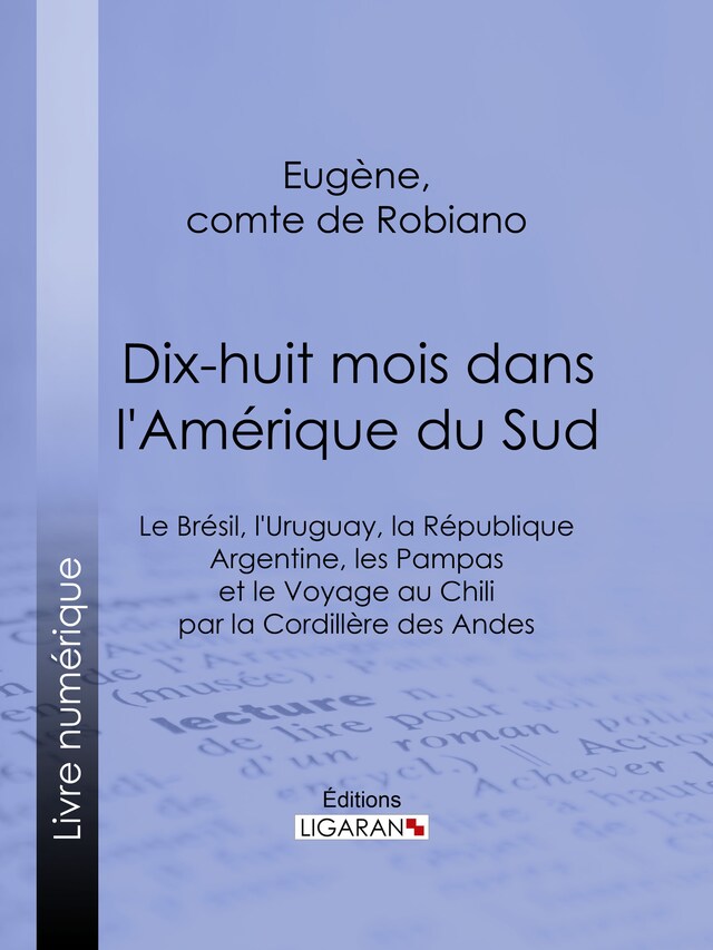 Copertina del libro per Dix-huit mois dans l'Amérique du Sud