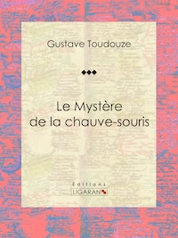 Le Mystère de la chauve-souris