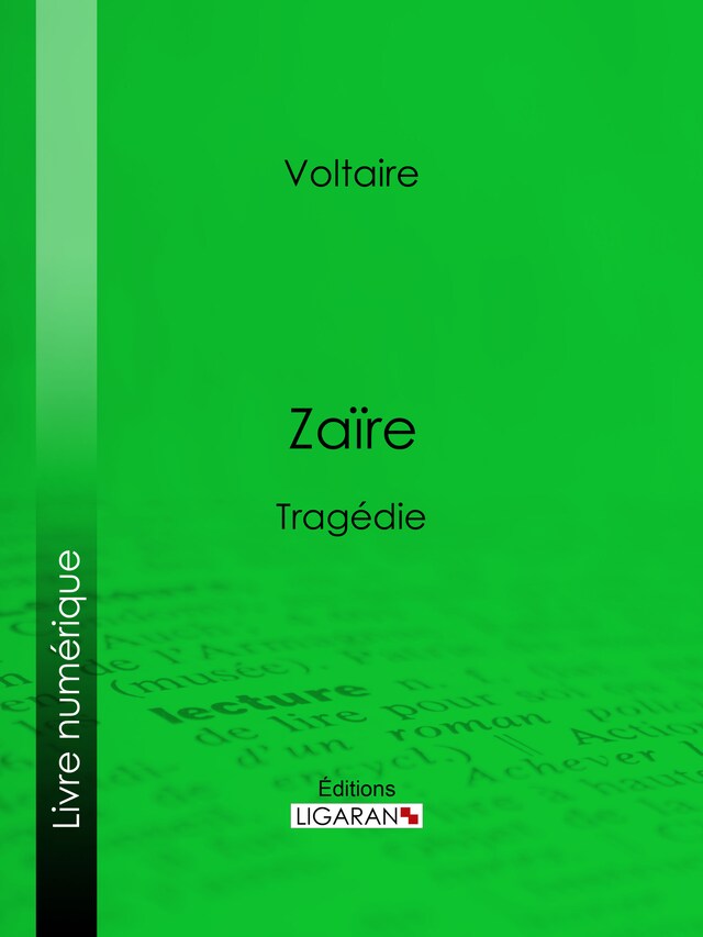 Book cover for Zaïre