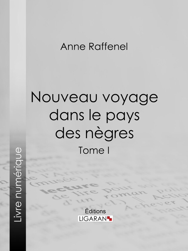 Book cover for Nouveau voyage dans le pays des nègres