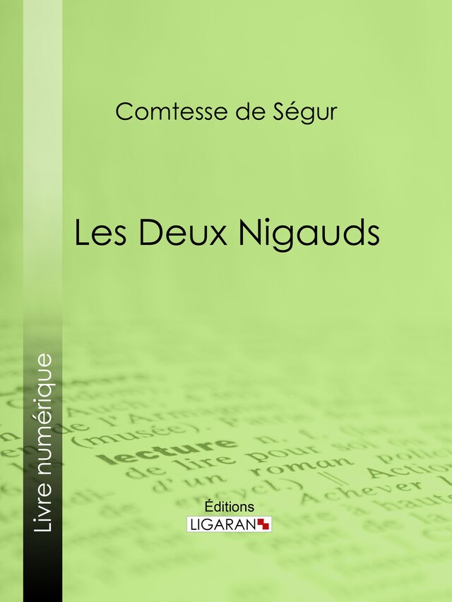 Book cover for Les deux nigauds