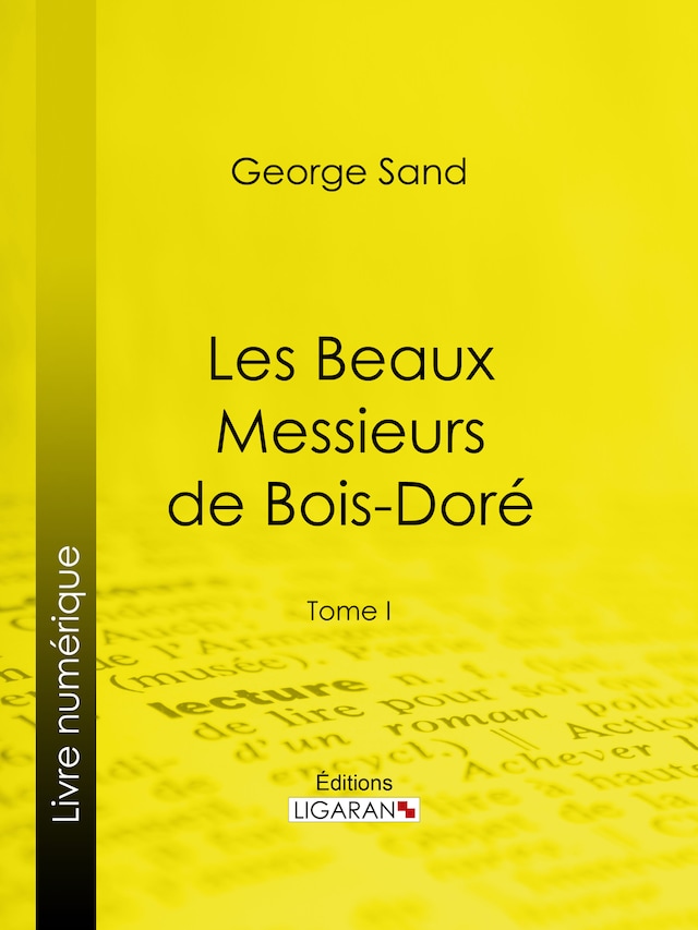 Book cover for Les Beaux Messieurs de Bois-Doré