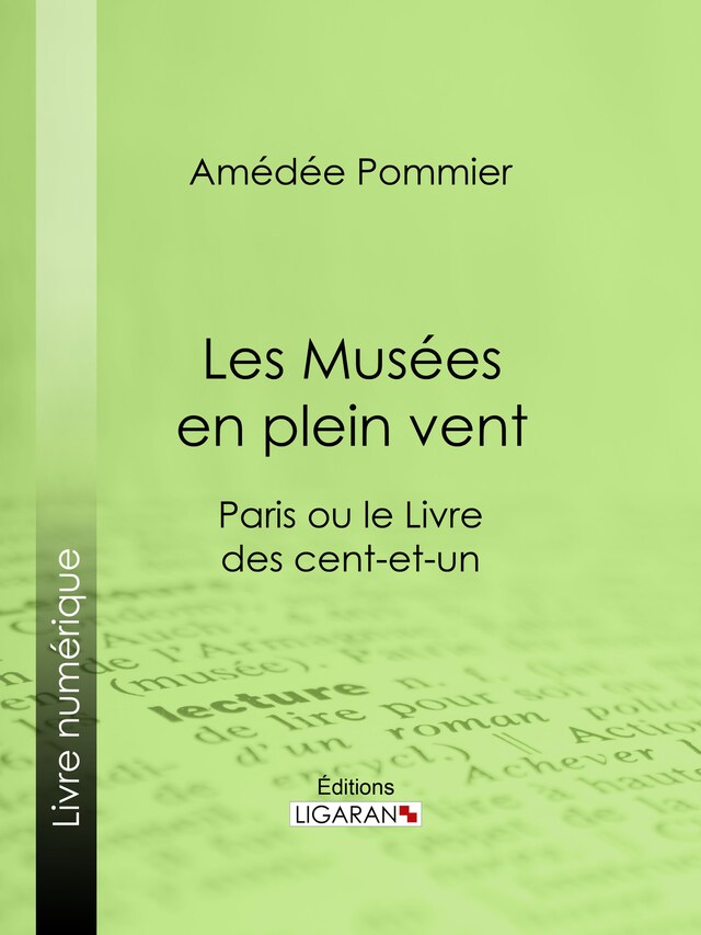 Buchcover für Les Musées en plein vent