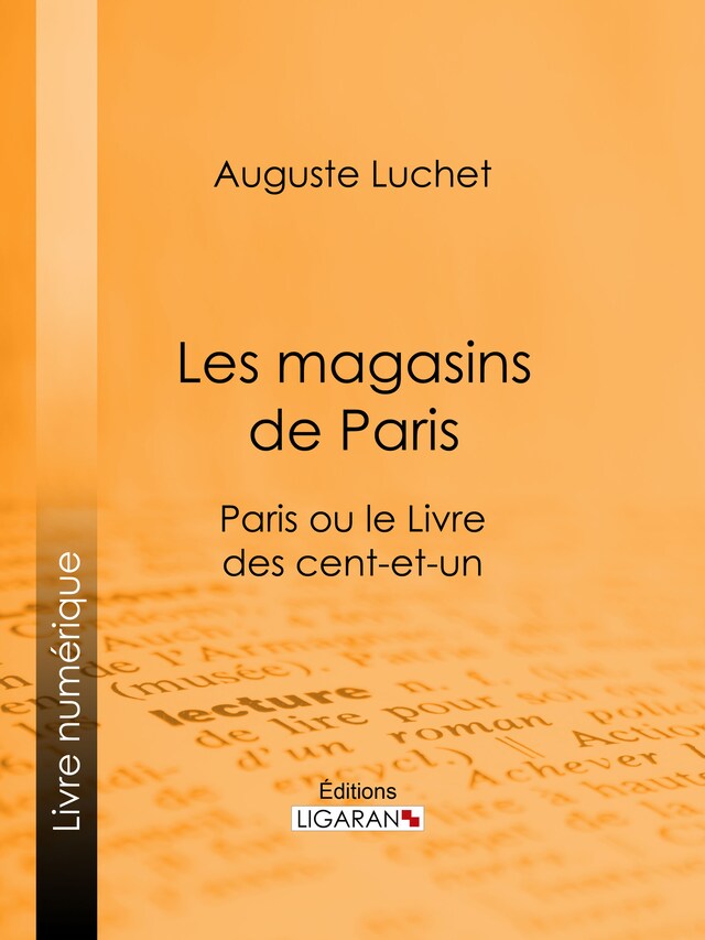 Book cover for Les magasins de Paris