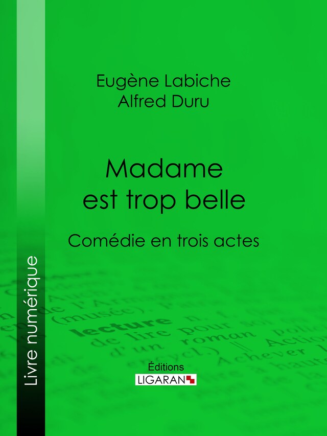 Copertina del libro per Madame est trop belle