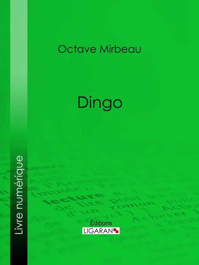 Book cover for Dingo