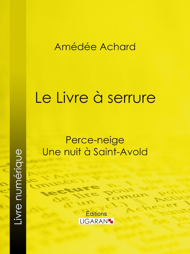 Book cover for Le Livre à serrure