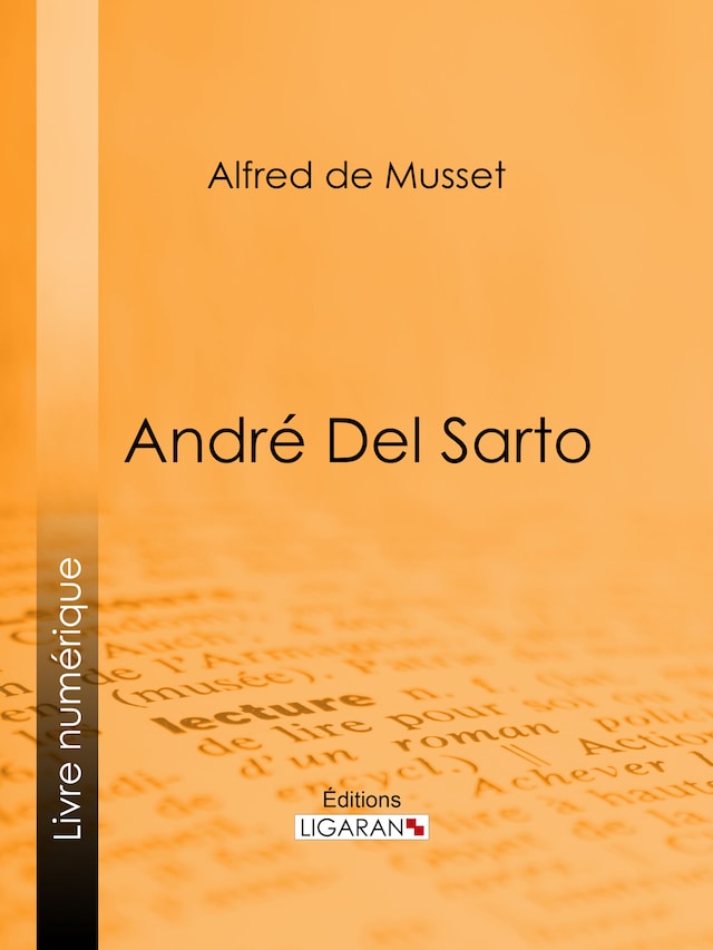 Boekomslag van André Del Sarto
