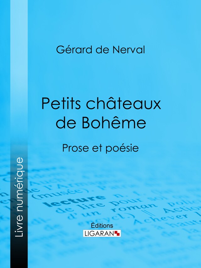 Copertina del libro per Petits châteaux de Bohême